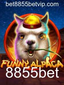 Descubra o Envolvente Mundo de FunnyAlpaca