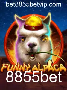 Descubra o Envolvente Mundo de FunnyAlpaca